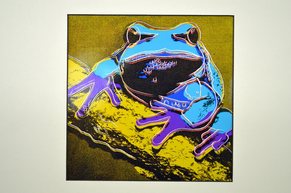 Andy Warhol The Frog Serigraph ltd edition of 1000 pieces, 1987 collection COA included.40cm x 40cm