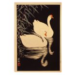 Koson Ohara, Two geese swimming near reeds, 20th Century, Japanese Woodblock Print