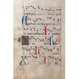 Seite eines Antiphonars mit 11 prachtvoll gezeichneten und einer goldgehöhten Initiale mit reichem