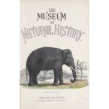 John Richardson, William S., T. Spencer u.a. The Museum of Natural History. 4 Bde. Mit zahlr., teils