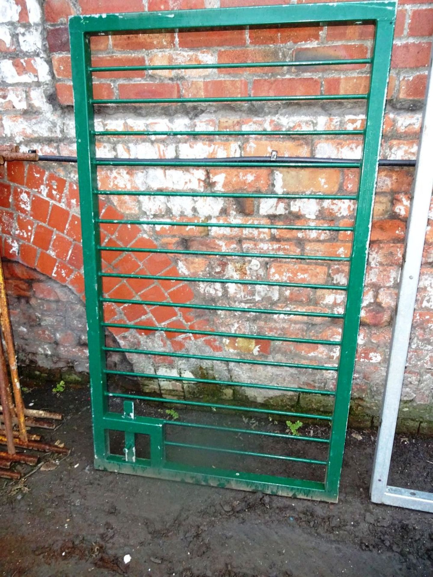 Single gate powder coated green 1mtr x 1700 high