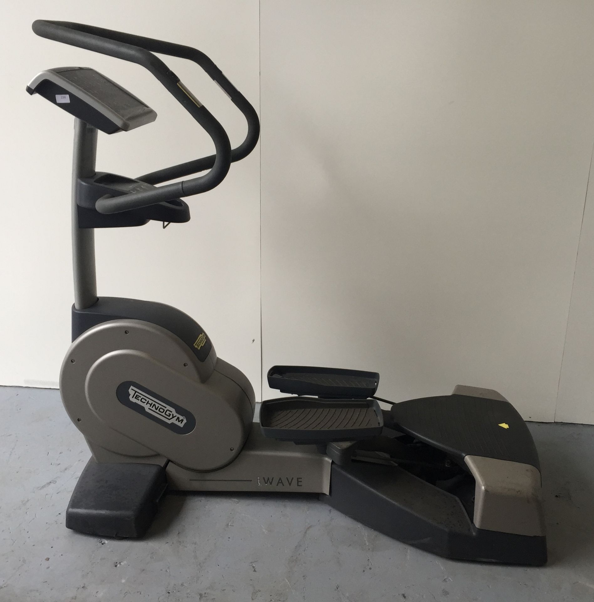 TechnoGym Wave Cardio Machine