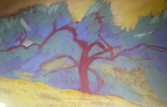 Sue Campion, a pastel on paper, 'Olive Tree', signed with label verso.