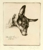 Richard Müller 1874 - 1954 - "Mein Hund Boy" - Radierung/Papier. 62/74. 15,9 x 13,9 cm, 24,2 x 17,