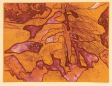Clare Romano1922 Palisade/New Jersey - Autumn Forest - Farbradierung/Papier. 3/150. 30 x 40 cm, 37 x