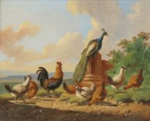 Albertus Verhoesen1806 Utrecht - 1881 Utrecht - Hühner und Pfau in Landschaft mit Tempelruinen -