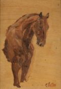 Carl Wilhelm Anton Seiler1846 Wiesbaden - 1921 München - Studie eines Pferdes - Öl/Karton. 15,5 x