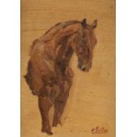 Carl Wilhelm Anton Seiler1846 Wiesbaden - 1921 München - Studie eines Pferdes - Öl/Karton. 15,5 x