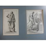 Rossi, Giacomo (1627-1691 Rom), 2 Radierungen 17.Jh., Anatomische Darstellungen, u.PPmontiert,