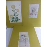 3 col. Holzschnitte Japan um 1900, Blume und Falkendarstellung, u.PP 50cm x 34cmMindestpreis: 70