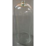 Tall glass bell jar