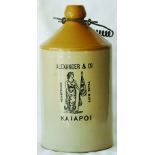 1 Gallon Stoneware Jar advertising, ALEXANDER & CO KAIAPOI, Bourne maker, minor lip chip repaired (