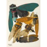 ZOOLOGIE - Insekten - Séguy, Emile Allain. Insectes. Vingt planches en phototypie coloriées au