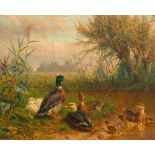 JUTZ, CARL (Windschläg 1838 - 1916 Pfaffendorf) Poultry by a pond. 1900. Oil on panel. Signed and