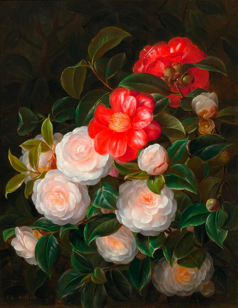 JENSEN, JOHAN LAURENTZ (1800 Gentofte 1856) Red and white camellias. Oil on panel. Signed lower