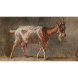 HUBER, JEAN-DANIEL  (1754 Geneva 1845) Goat before a grey wall. Watercolour, gouache, heightened