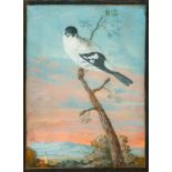Circle AGRICOLA, CHRISTOPH LUDWIG  (Regensburg 1667 - 1719),  Bird on a branch before a landscape.