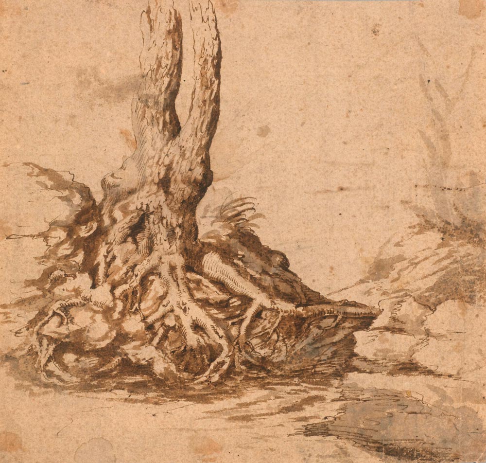 ITALIAN, 16TH CENTURY  Tree roots with landscape. Verso: angel studies and dragon’s head.  Brown pen