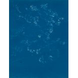 LINCK, JEAN-ANTOINE  (1766 Geneva 1843) Sky study. White chalk on paper with blue primer. 23.5 x