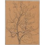 GILLE, CHRISTIAN FRIEDRICH  (1805 Ballenstedt - 1899 Wahnsdorf bei Dresden) Trees and branches in