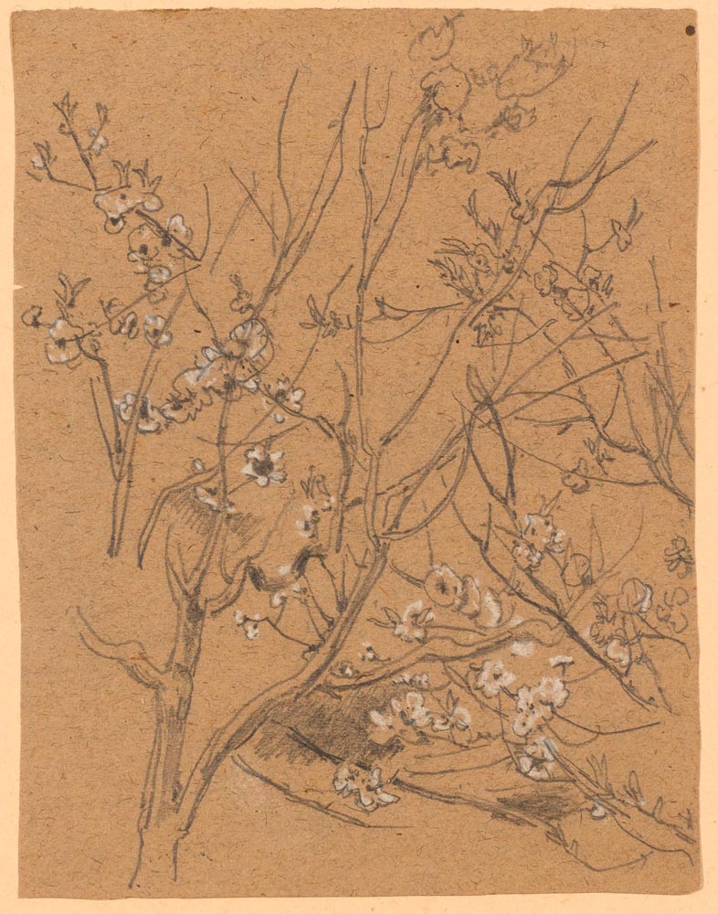 GILLE, CHRISTIAN FRIEDRICH  (1805 Ballenstedt - 1899 Wahnsdorf bei Dresden) Tree in blossom.