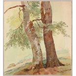 TOEPFFER, WOLFGANG ADAM  (Geneva 1766 - 1847 Morillon Two trees before a hint of a landscape.
