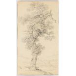 DUNKER, BALTHASAR  (Stralsund 1746 - 1807 Bern) Study of an old tree. Black chalk. Signed lower