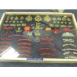 Royal Marines metal and cloth badge/button/Titles etc collection in old frame, may contain resrtikes