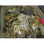 Cap badges/Collars/Should Titles - shoebox packed with old badges, staybrights, etc (resrtikes