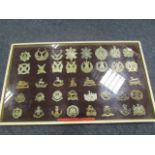 Cap Badges - old large framed collection of various Infantry and Scottish Regiments. May contain