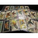 British American Tobacco Co, Butterflies (Girls) complete set of standard size cards, mainly G -