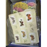 Box containing small number of old style albums, sets & part sets within (noted Gallaher - Birds