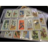 Brooke Bond Canadian Issue sets in sleeves - Birds of North America, Butterflies of North America,