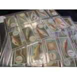 Churchman, complete set Fish & Bait mainly G or better cat value £335