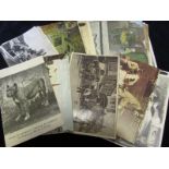 Collection, P. 2 onwards, cards including Foreign, Europe, Australia, India, Dog Carts (8), Dogs,
