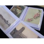 Mixed collection in small albums, Harry Payne & Norfolk noted  (approx 60 cards) (2 album)
