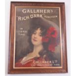 Gallahers advertising show card tobacco picture framed and mounted within a dark wood frame