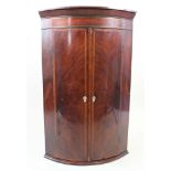 Georgian corner cupboard, bow fronted with stunning oyster veneers and extensive stringing stands