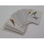 Caperns Birds, advert cards   (approx 30 cards)