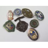 Nursing pin badges, various types, some named (8)