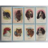 Tobacco silks, A.T.C, Domestic Animal Heads, 'M' size, (set, 25 silks) (gd)