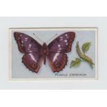 Cigarette cards, Phillip's, British Butterflies No 1 Issue (set, 30 cards) (gd)