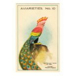 Trade cards, Dennis, Dainty Series, Aviarieties (Birds), 'XL' (set, 12 cards) (vg)