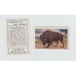 Trade cards, Carr's Biscuits, Animals of the World, 'M' size (set, 30 cards) (6 fair, rest good)