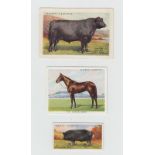 Cigarette cards, Player's, 4 sets, Live Stock, British Live Stock, British Pedigree Stock, 'X'