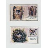 Cigarette cards, Phillip's, Eggs, Nests & Birds, (numbered) (set, 30 cards) (gd)