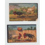 Trade cards, a collection of 26 Continental & US trade cards, various sizes, all featuring poultry &