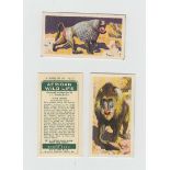 Trade cards, Brooke Bond, Rhodesian issues, 4 part sets, African Wildlife (21/50), Tropical Birds (