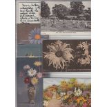 Ephemera, Sutton's Seeds, a folder containing a reference work relating to the card issues of the