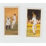 Trade cards,  Bassett, Cricket First Series, 1978 (set, 50 cards with one original box of issue) (